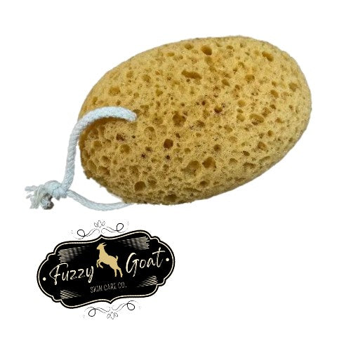 The Ultimate Loofah Sponge